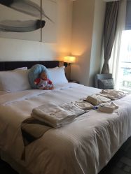 -禧月荟S月子中心(侨城店)