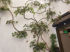-耳艺采耳·足疗·按摩SPA(市桥店)