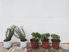 -收获咖啡HARVEST RESERVE(苍山店)