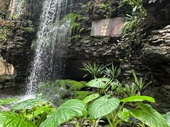 -广州白天鹅宾馆