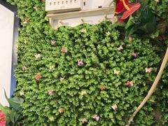 -顶峰夜宴·龙虾烧烤大排档(九江学院店)