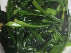 -田螺阿姨自营月嫂·育儿嫂(高新店)