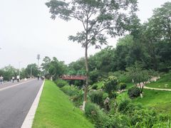 -羊山湖公园