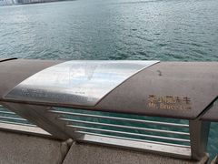 -星光大道