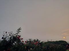 -呼吸森林·生态农庄农家乐私房菜