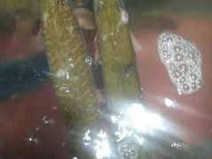 -新疆风味冷水鱼庄(友谊峰路店)