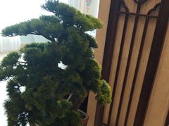-香丰阁·烤鸭·川湘菜(昌平店)