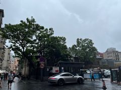 -陶记正宗德州扒鸡(科巷店)