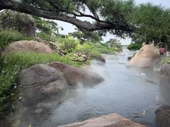 -罗红摄影艺术馆