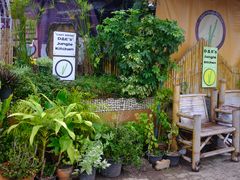 -Jungle Kitchen