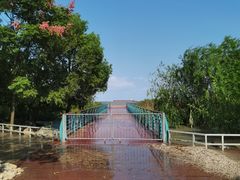 -上海吴淞炮台湾国家湿地公园
