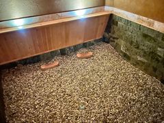 -大连金石滩绿发温泉假日酒店