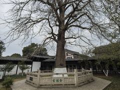 -常熟方塔园