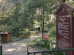 -成都市活水公园