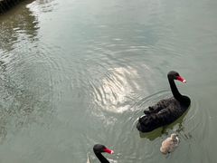 -武汉动物园