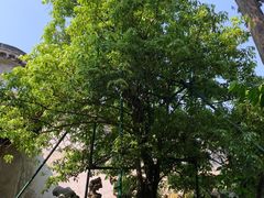 -东山雕花楼