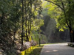 -风云岭森林公园