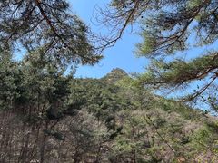 -无染寺
