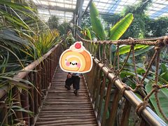 -呀路古热带植物园