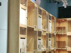 店内-老吴的猫·猫舍(新区店)