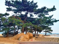 -老虎石海上公园