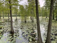-南京金牛湖风景区