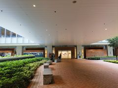 -香港大学
