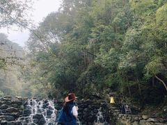 -石台牯牛降景区
