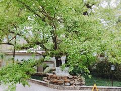 -广东温泉宾馆