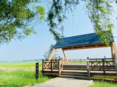 -野鸭湖国家湿地公园