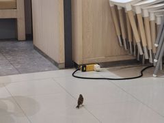 -大家乐(广州花城汇店)