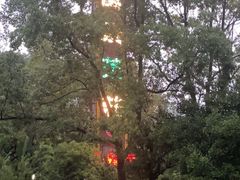 -万景茶庄·台州菜