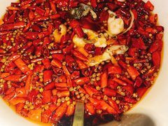 -辛香汇·现炒川菜(淮海路百盛店)