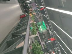 -金吉鸟健身游泳