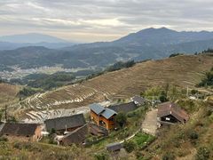 -紫鹊界梯田景区