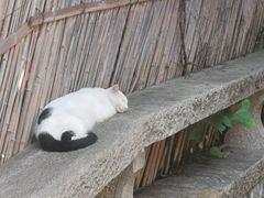 -香园茶社·金陵小灶(老门东店)