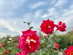 -人民公园(罗湖区)