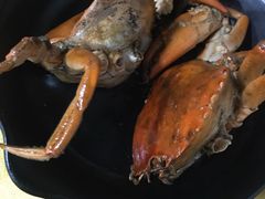 -莲花公园煎蟹(总店)