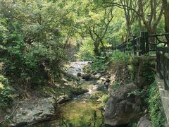 -宁波五龙潭景区