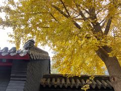 -长安寺