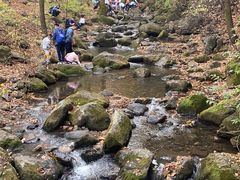 -香炉山国家森林公园