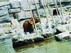 -北京野生动物园