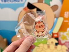 -东莞君尚