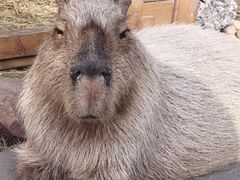 -郑州银基黄帝宫御温泉