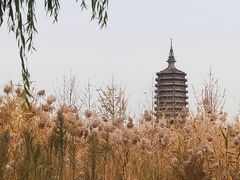 -西海子公园