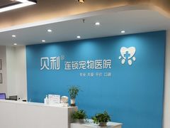 -贝利宠物医院·骨科·眼科·肿瘤转诊中心(南坪诊疗中心)