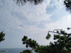 -青岛第二海水浴场