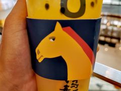 -春丽小马(济南恒隆广场店)