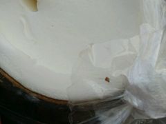 -志龙皇冠吃货椰子铺