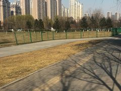 -长白岛森林公园